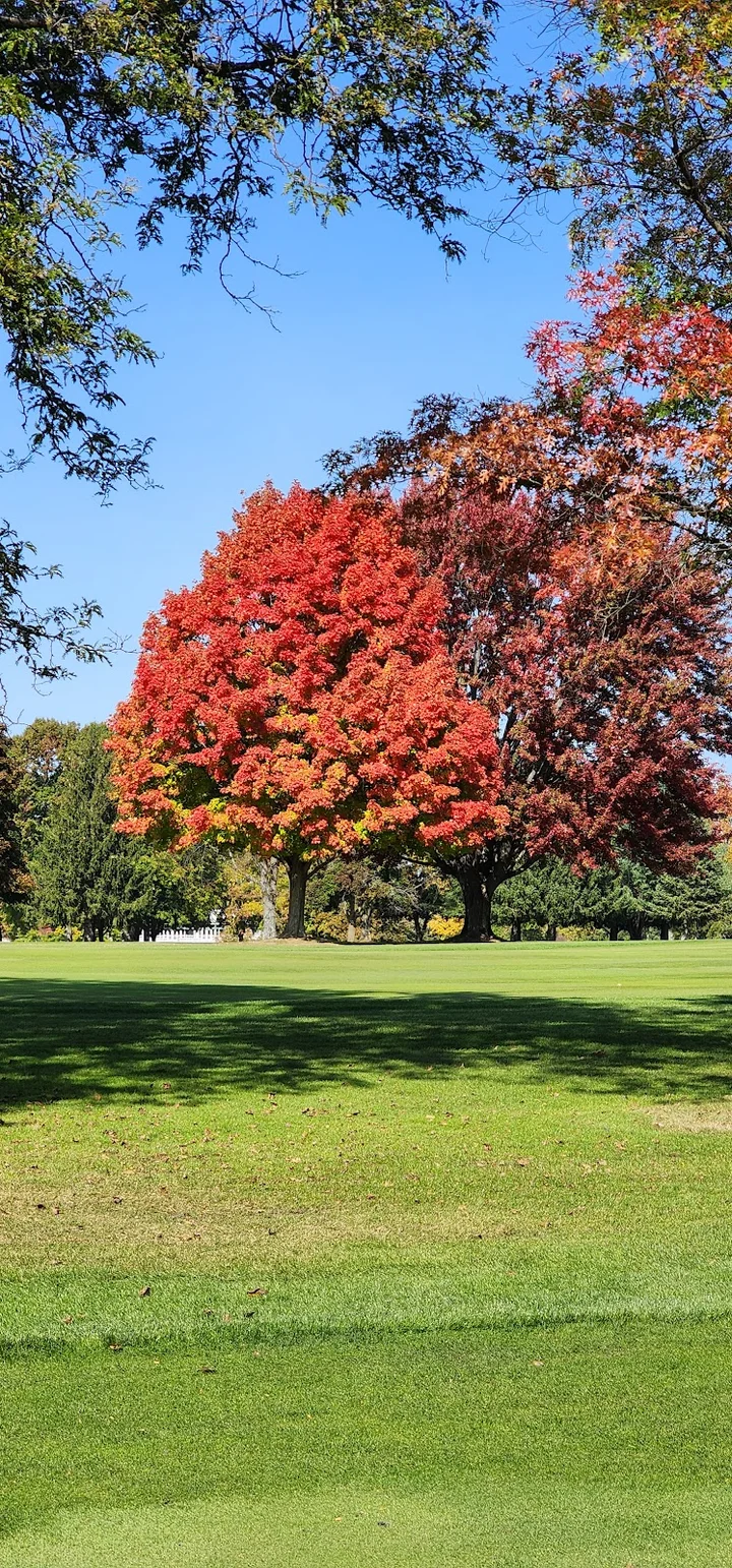 Flint Golf Club in Flint | What to Know Before You Go