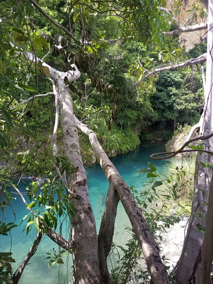 Blue Spring river in Tumauini, Cagayan Valley | Ask Anything
