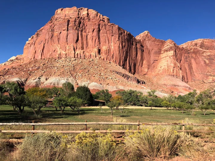 Capitol Reef National Park | What to Know Before You Go