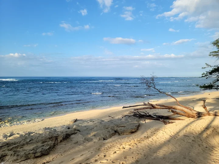 Waialee Beach in Pupukea | What to Know Before You Go