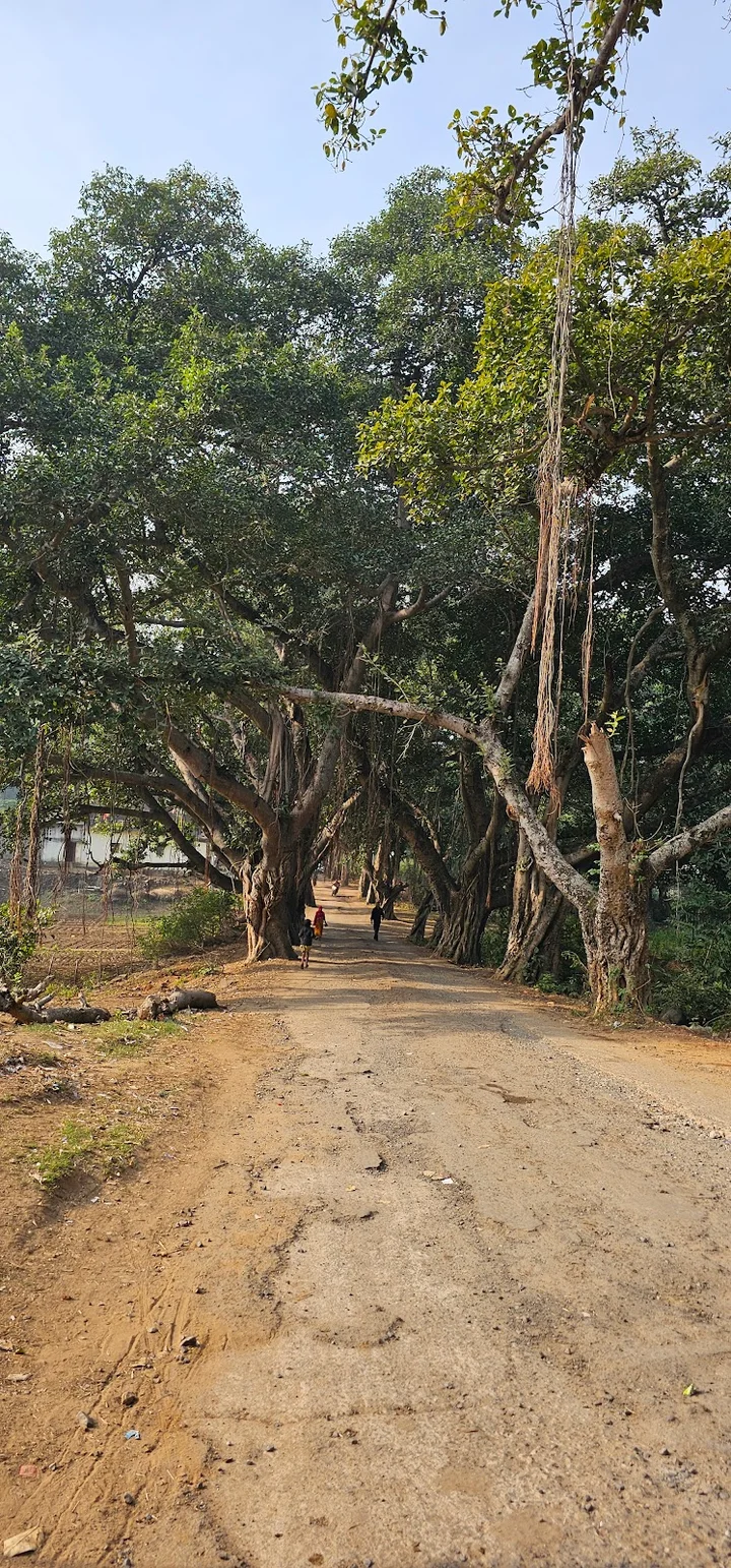 Topchanchi Dam in Madhuban, Jharkhand - Ask AI | mindtrip