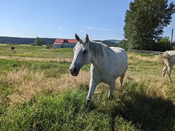 OH Ranch in Longview, Alberta | What to Know Before You Go