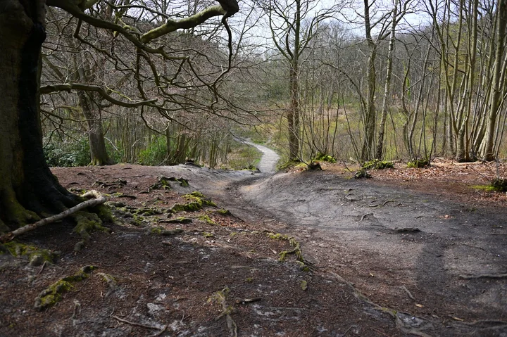 Perry Wood in Selling, England | What to Know Before You Go