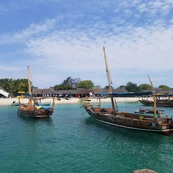 menai-bay-in-zanzibar-city-ask-ai-mindtrip