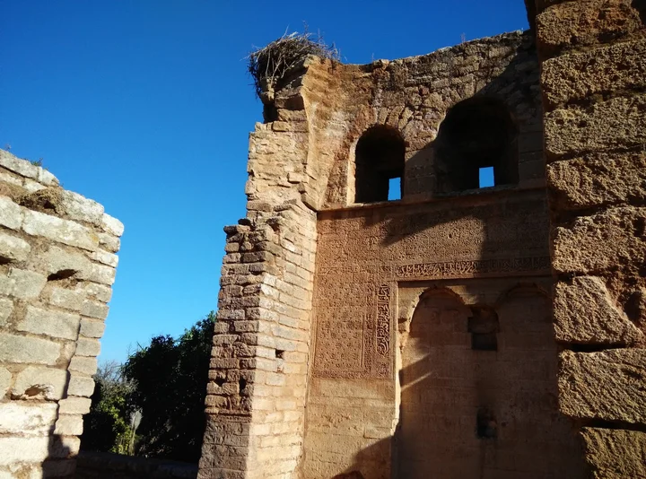 Chellah Castle in Rabat - Ask AI | mindtrip