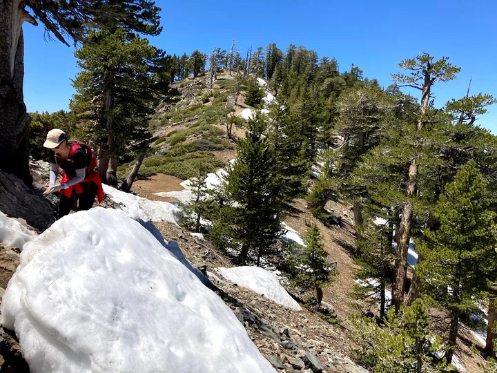 Mt Burnham in Valyermo, California | Ask Anything