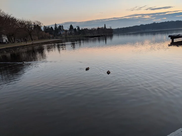 Evans Pool in Seattle, Washington - Ask AI | mindtrip