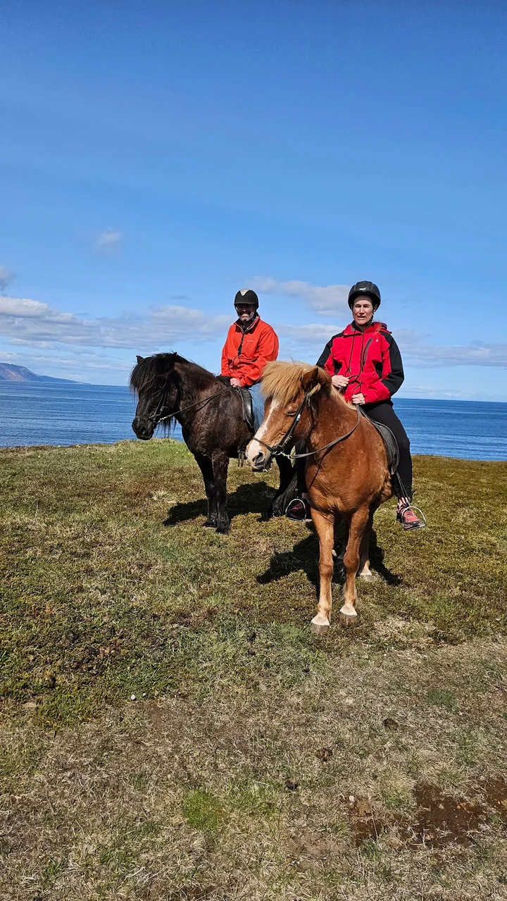 Saltvík Horse Rental in Husavik, Norðurþing | Ask Anything