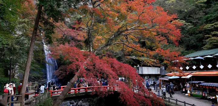 Minoh Park in Mino, Osaka Prefecture - Ask AI | mindtrip