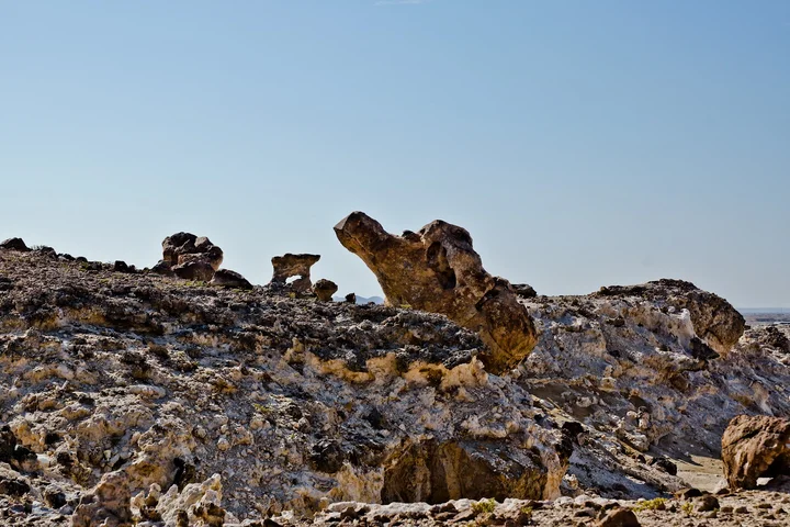 Rocks Garden in Duqm, محافظة الوسطى - Ask AI | mindtrip