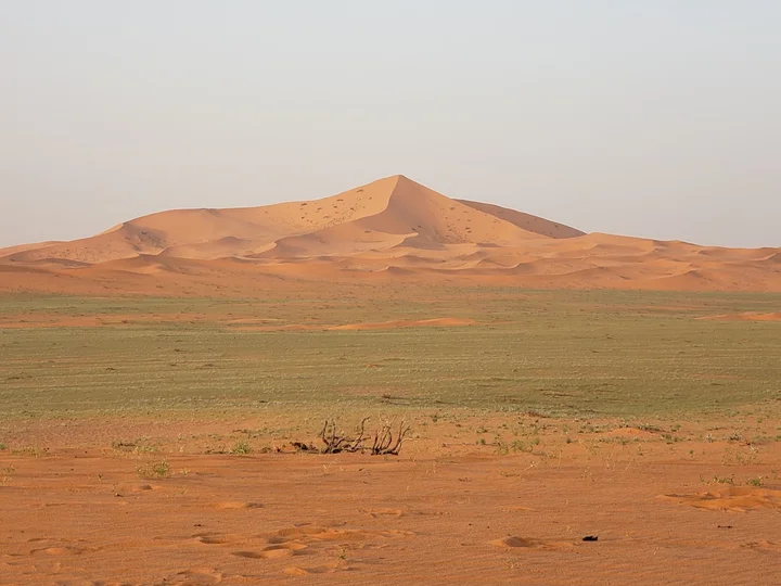 نقا المطوع in Riyadh Province - Ask AI | mindtrip