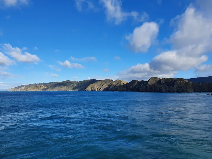 Cook Strait in Wellington Region - Ask AI | mindtrip