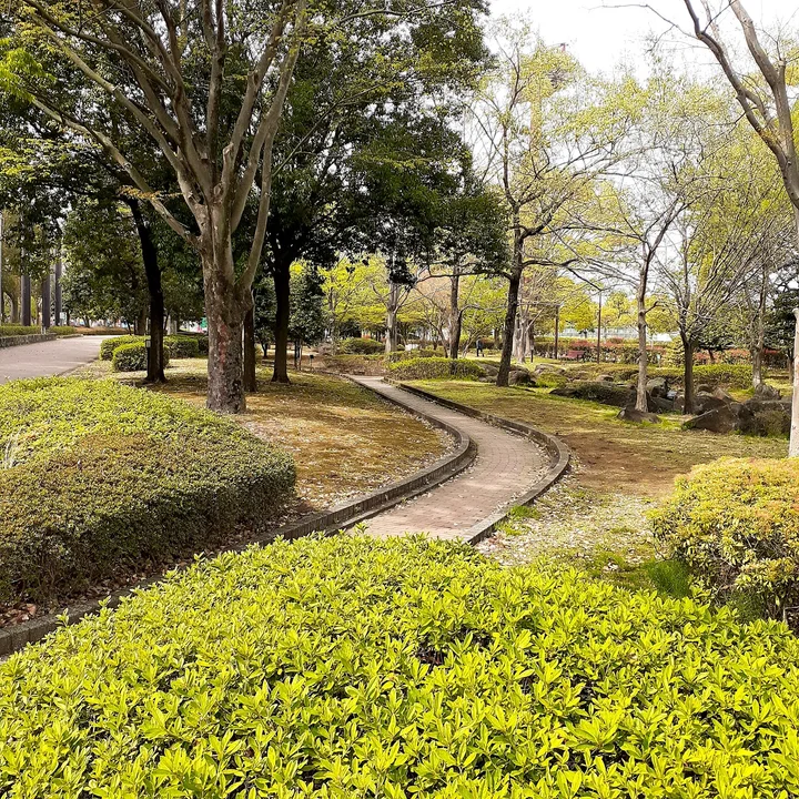 Kitamoto General Park | What to Know Before You Go
