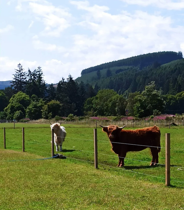 Farm Ness in Dochgarroch, Scotland | Ask Anything