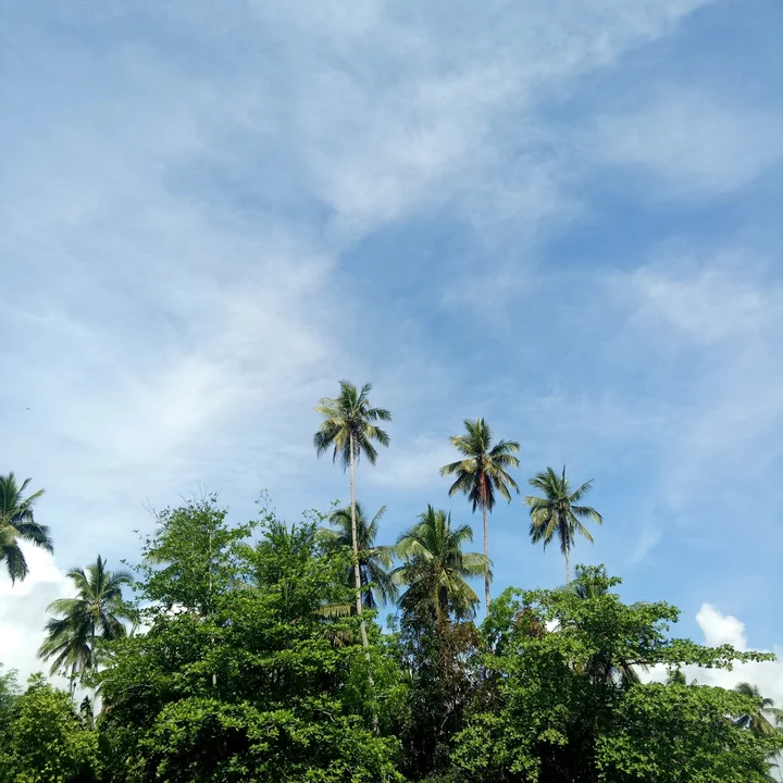 Bogac Cold Spring in Lianga | What to Know Before You Go