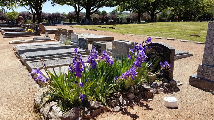 Woden Cemetery in Canberra | What to Know Before You Go