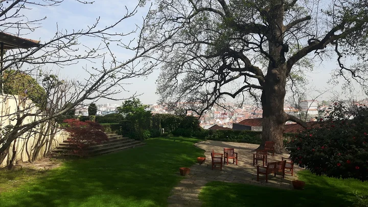 Symington Family Estates in Porto | Ask Anything