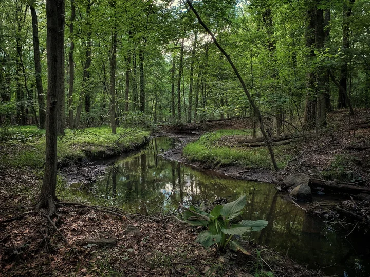 Arden Woods in New York City, New York | Ask Anything