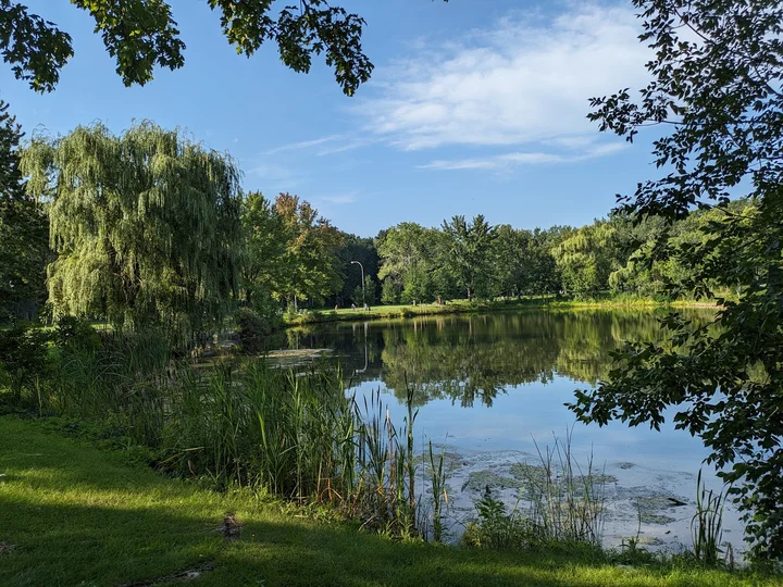 Parc Angrignon in Westmount | What to Know Before You Go