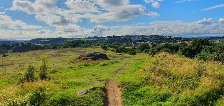 Letham Hill Wood | What to Know Before You Go