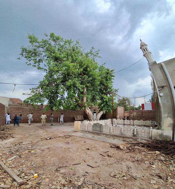 Tulamba Fort in Mian Channu | What to Know Before You Go