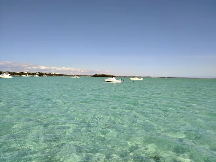 La Matica in Santo Domingo - Ask AI | mindtrip