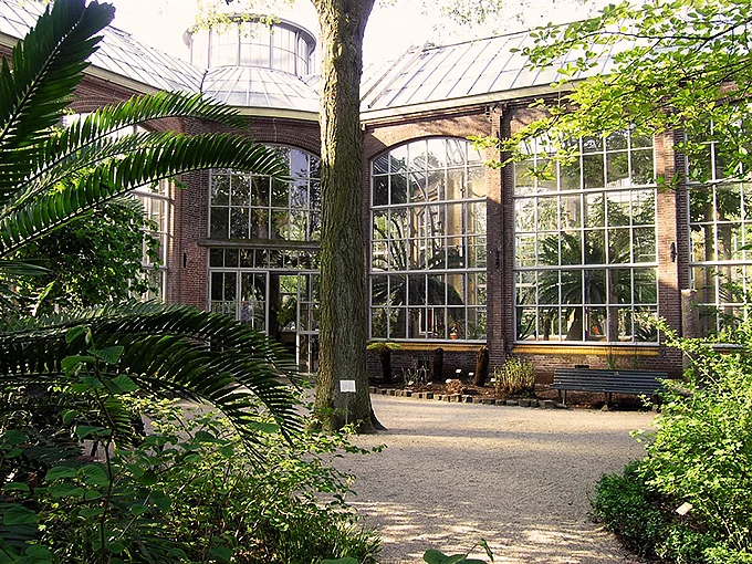 Hortus Botanicus in Amsterdam | What to Know Before You Go