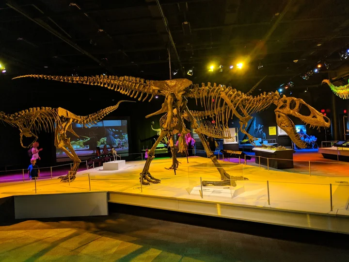 Discovery Place Science | What to Know Before You Go