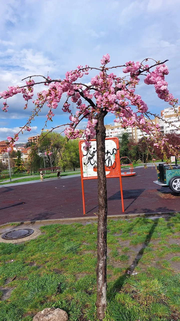 Park Novo Mirijevo in Belgrade, Serbia | Ask Anything