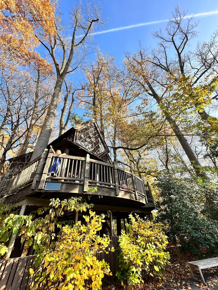 Canopy Cathedral Treehouse - Ask AI | mindtrip