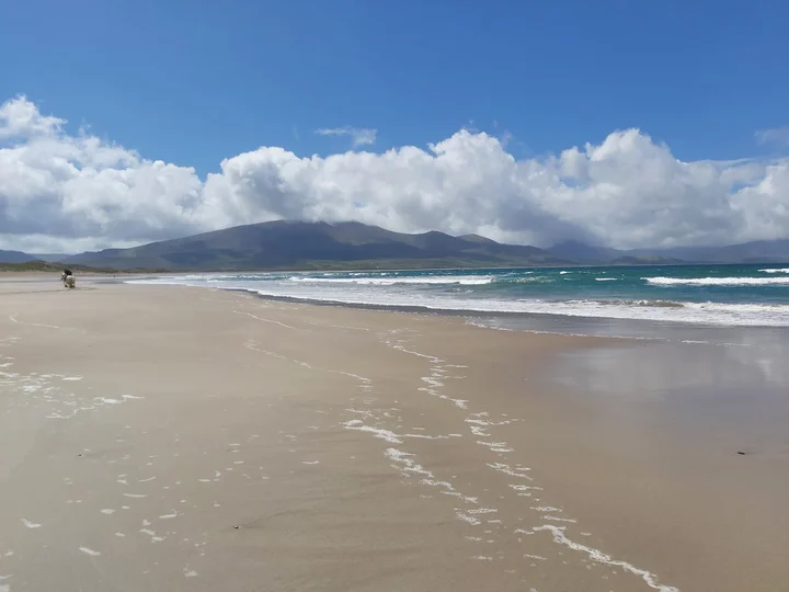 Stradbally Beach in Castlegregory - Ask AI | mindtrip