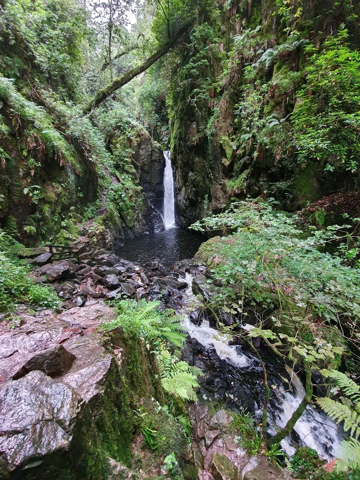 Stanley Ghyll Waterfall in Eskdale, England | Ask Anything