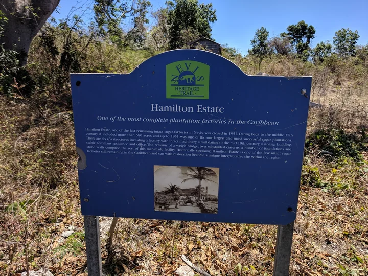 Hamilton Estate - Plantation | What to Know Before You Go