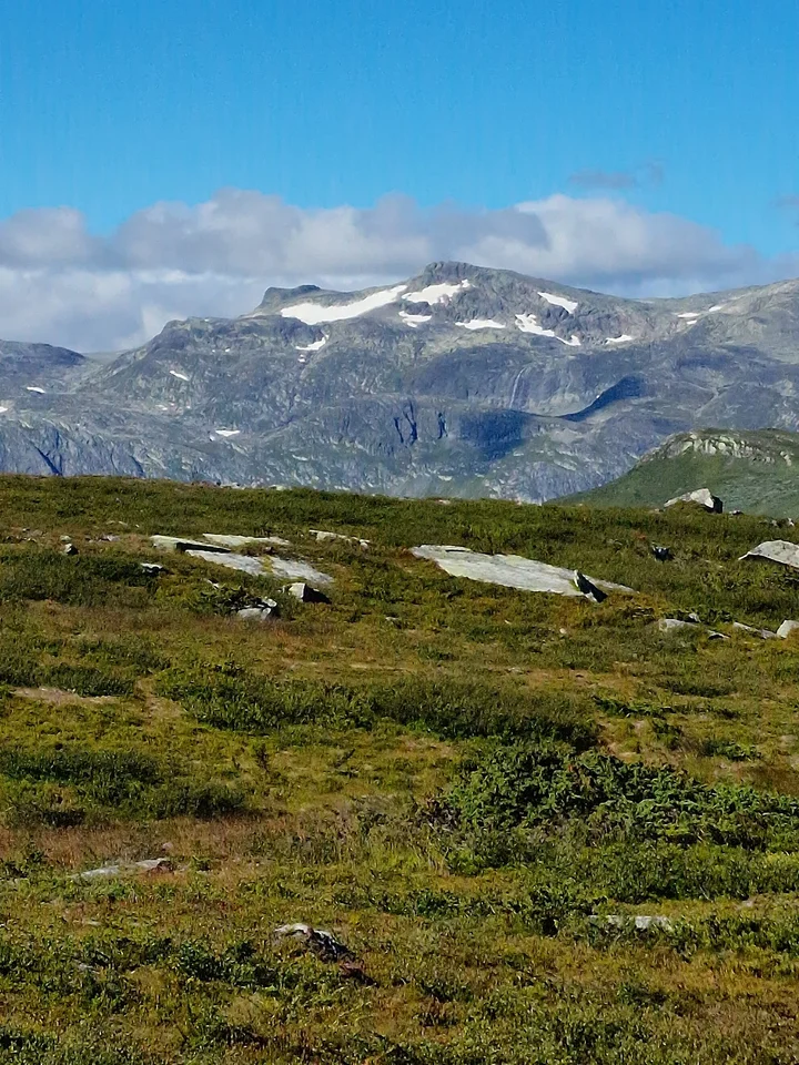 Valdres Nature & Culture Park - Ask AI | mindtrip