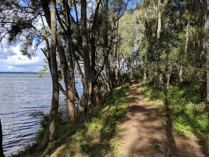 Wyee Point Reserve in Bonnells Bay | Ask Anything