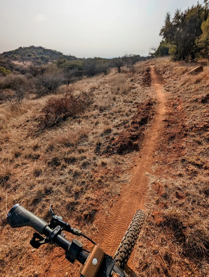 Die Bosveld in Pretoria, Gauteng - Ask AI | mindtrip