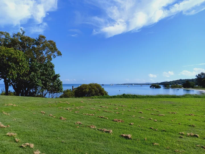 Lamb Island, Queensland | What to Know Before You Go