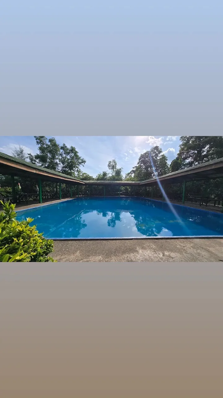 Bato-Bato Hot Spring Resort in Narra - Ask AI | mindtrip