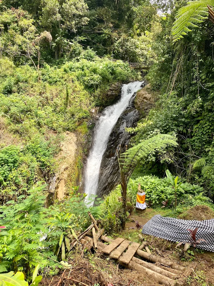 Gitgit Waterfall in Gitgit, Bali - Ask AI | mindtrip