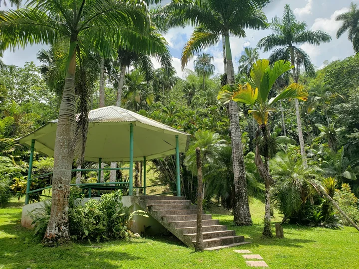Castleton Botanical Gardens - Ask AI | mindtrip