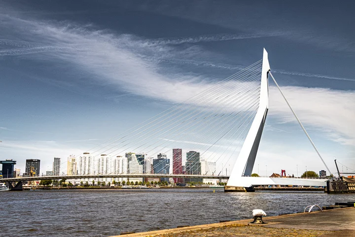 Danny de Cactus in Rotterdam | What to Know Before You Go