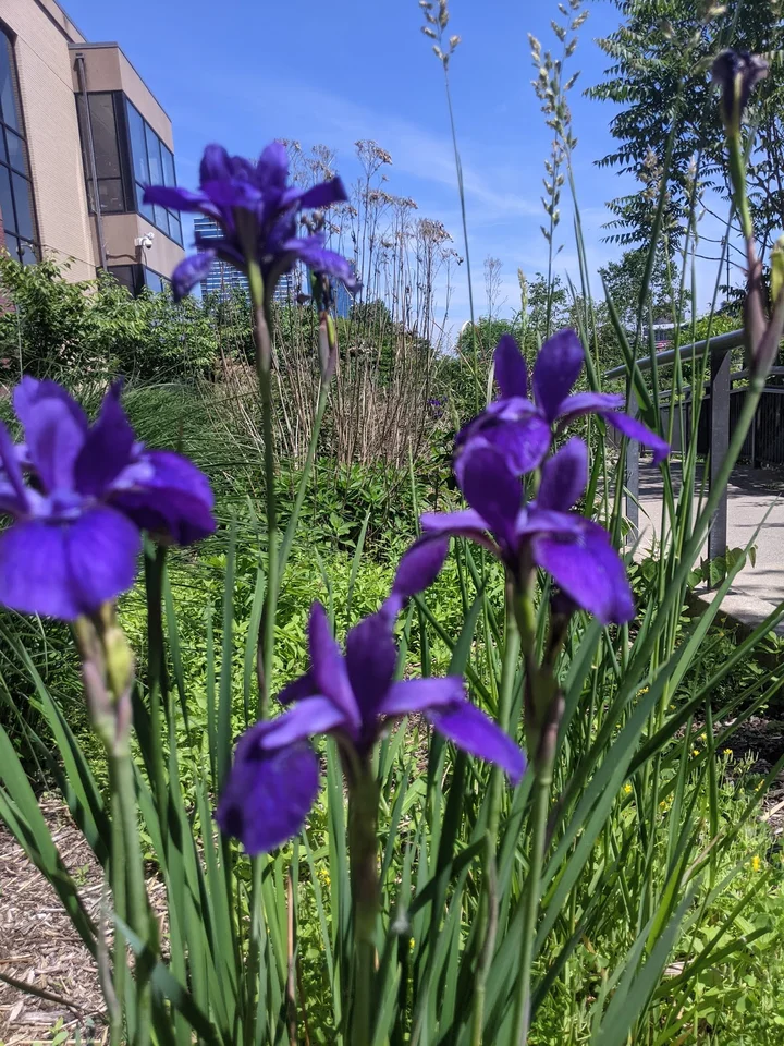 Riverwalk Promenade | What to Know Before You Go