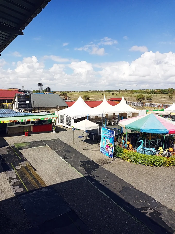 funland amusement parkarhi river - Ask AI | mindtrip