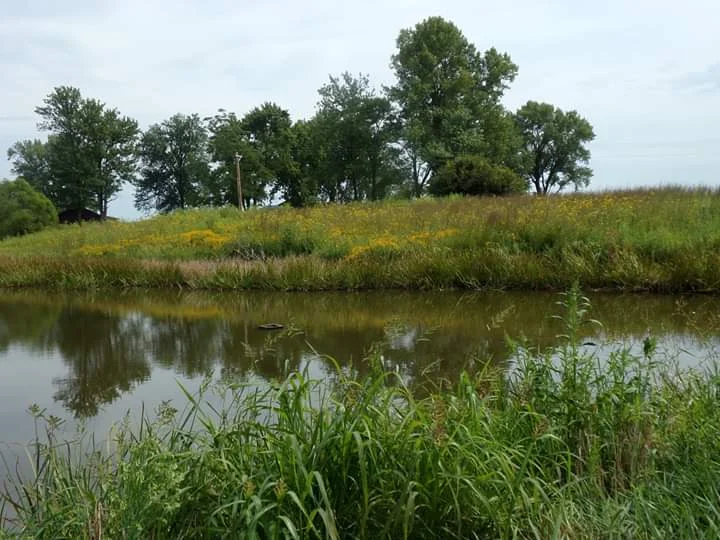 Nipper Wildlife Sanctuary in Loami, Illinois | Ask Anything