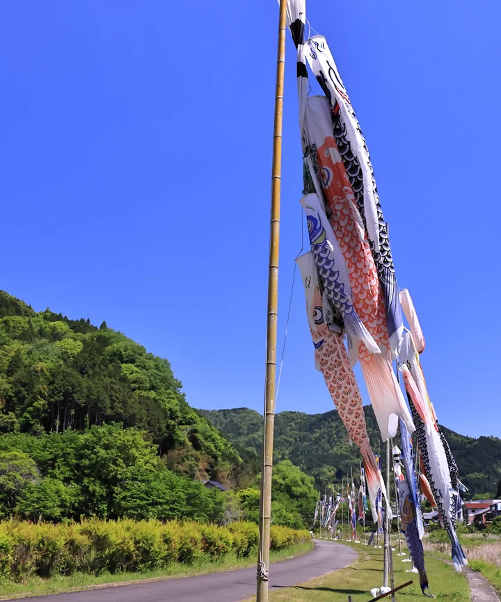 Yahagigawa Shimasaki Park in Mizunami - Ask AI | mindtrip