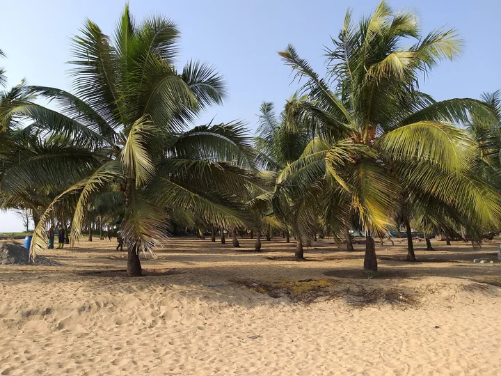 Valapad Beach in Valapad, Kerala - Ask AI | mindtrip