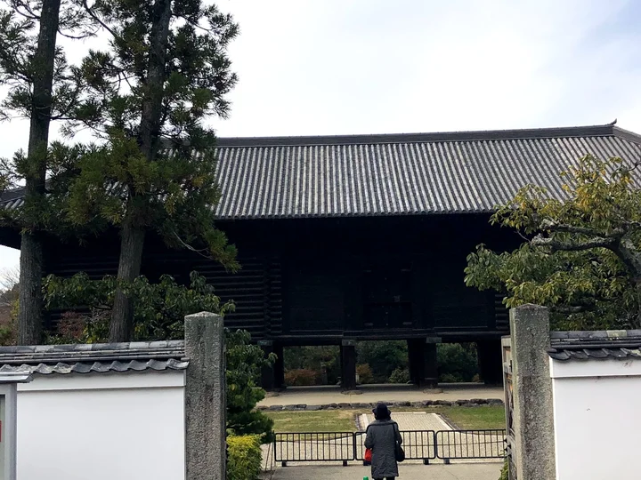 Shoso-in Shoso in Nara | What to Know Before You Go