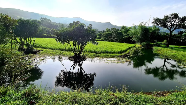 Panshet Dam in Panshet, Maharashtra - Ask AI | mindtrip