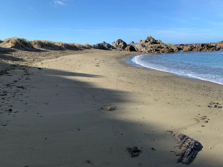 Princess Beach in Wellington | What to Know Before You Go
