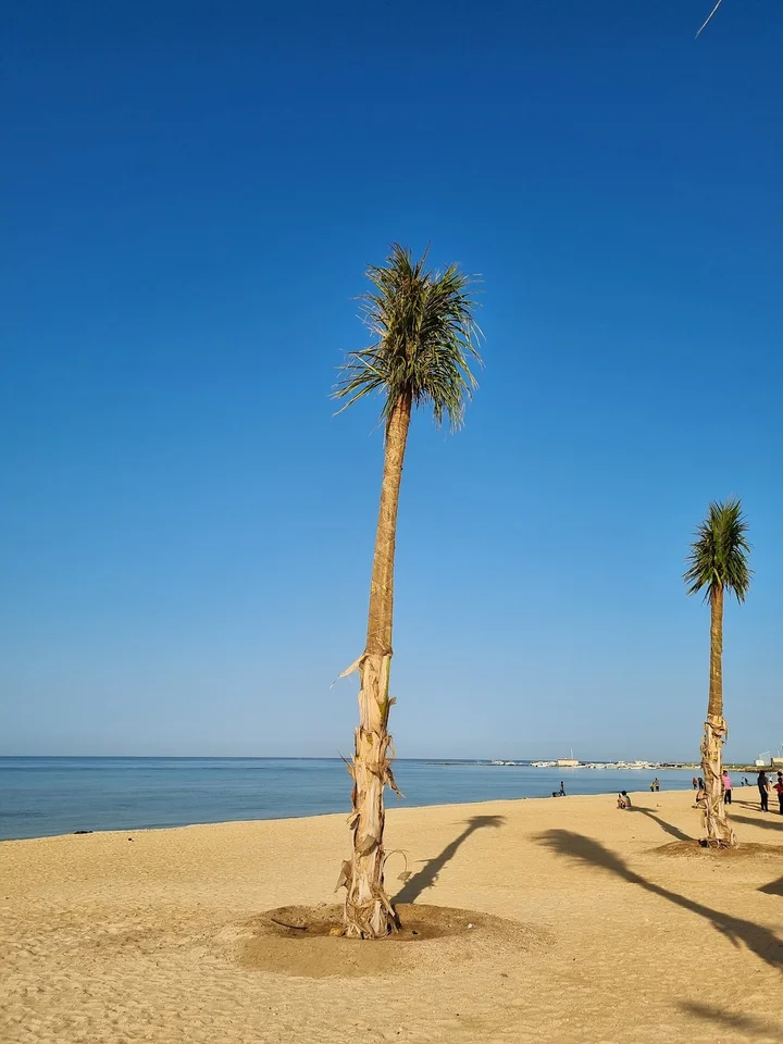 Rabigh Beach in Rabigh | What to Know Before You Go